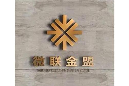 深圳市微聯金盟電子商務科技