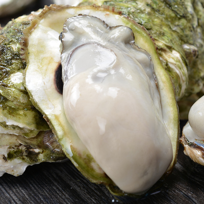 新鮮現(xiàn)挖青島海蠣子 來(lái)自深海的鮮美饋贈(zèng)