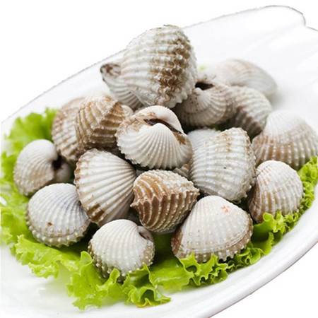 三門小海鮮 探尋“天下第一鮮”——新鮮血蚶750g的至臻美味
