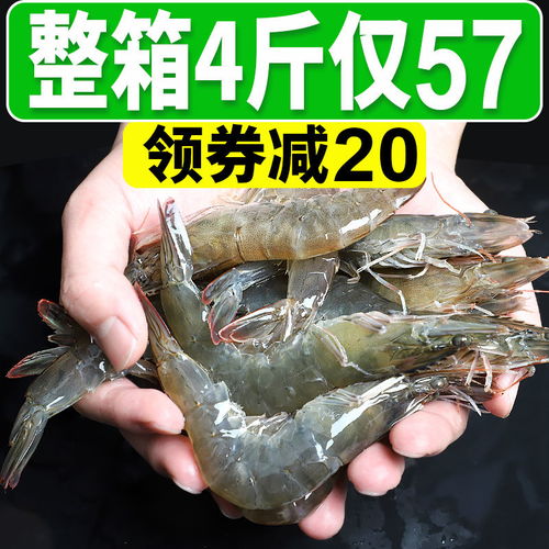 深海饋贈(zèng) 野生海捕整箱大蝦的鮮美之旅